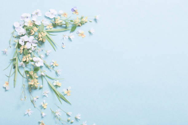 istock wild flowers on paper background 1252851407
