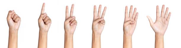 istock five fingers count signs isolated on white background with Clipping path included. Communication gestures concept 1252852525