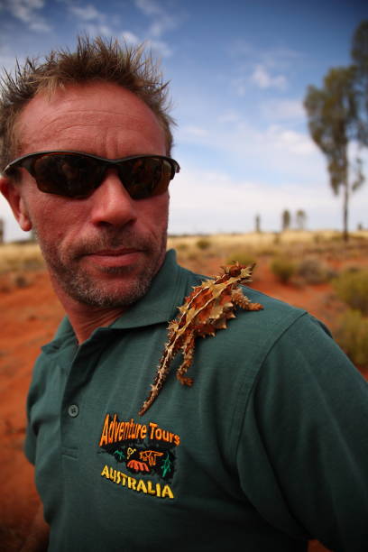 lucertola thorny devil sulla spalla dell'uomo nel centro rosso kings canyon dell'australia - thorny devil lizard australia northern territory desert foto e immagini stock