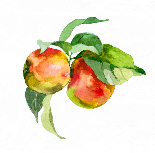 Watercolour hand painted pattern