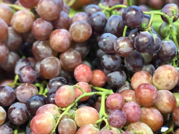 istock full frame shot of Vitis vinifera 1252857198