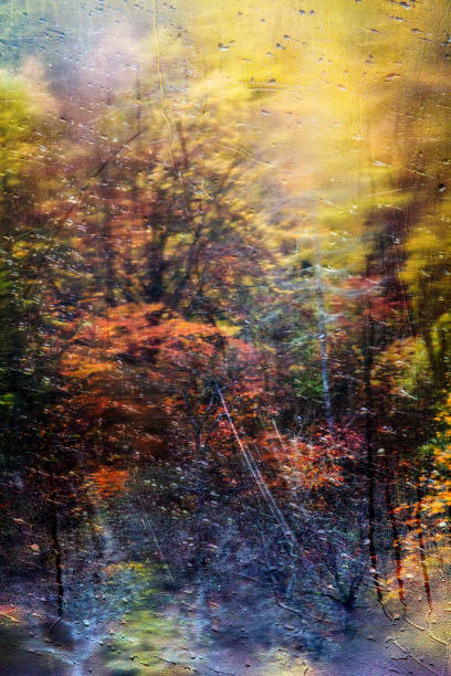 istock Raindrops on a steamed up window looking out to an autumn forest 1252858036