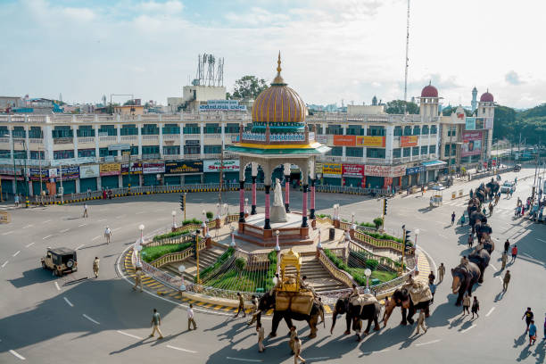 elefantenspaziergang in mysore dasara in karnataka/indien. - mysore stock-fotos und bilder