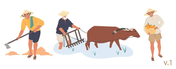 아시아 농부 캐릭터 세트, 벡터 플랫 절연 일러스트 - agriculture farm people plow stock illustrations