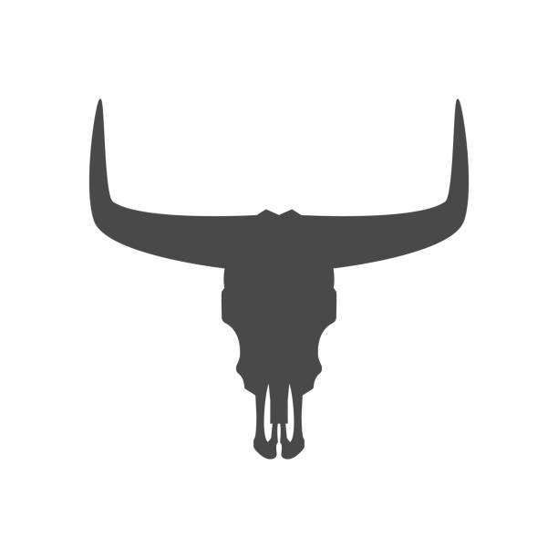 ilustraciones, imágenes clip art, dibujos animados e iconos de stock de icono de cráneo de toro - ilustración vectorial. - animal skull cow animals in the wild west