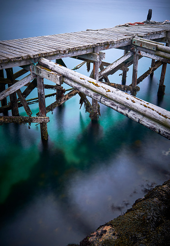 A wooden jetty partially covered with different types of moss, the water under it is very clear.