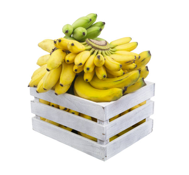 istock Bananas in wooden crate isolated 1252866450