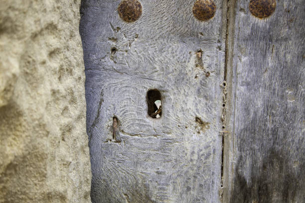 istock Old wooden door with lock 1252867993