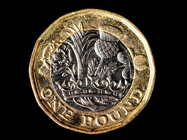 moneta da una sterlina - valuta britannica - one pound coin coin currency british culture foto e immagini stock