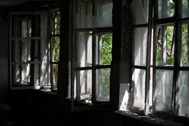 istock Broken Windows in an abandoned building. Daylight coming in through the broken Windows of an old abandoned building. Greenery outside the window. 1252869035