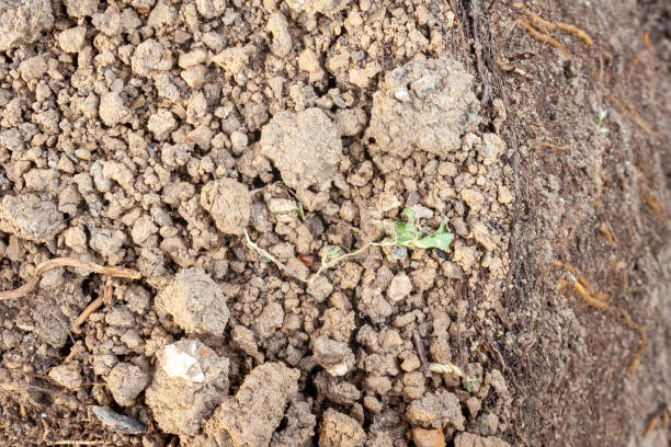 istock Earth ground texture as background, nature and environment 1252872617