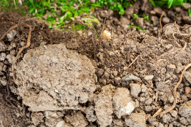 istock Earth ground texture as background, nature and environment 1252872660