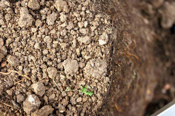 istock Earth ground texture as background, nature and environment 1252873195