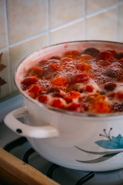 istock Making Organic Homemade Plum Compote 1252873379