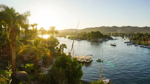 riva del fiume nilo in egitto cielo al tramonto e palma con pendenza dessert di sabbia - fiume nilo foto e immagini stock