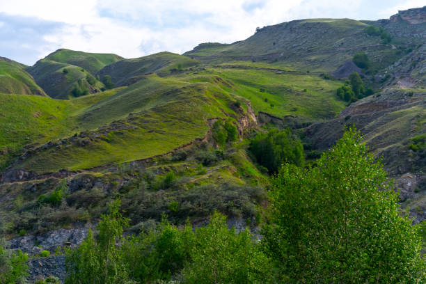 istock Trees and vegetation in the mountains 1252876889