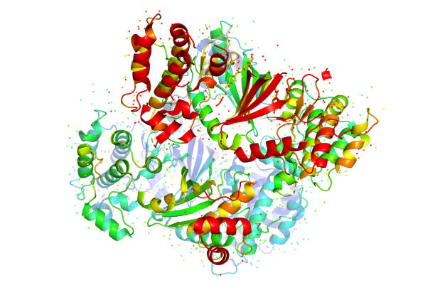 istock The structure of the protein molecule, tumor marker glioblastoma. 1252877579