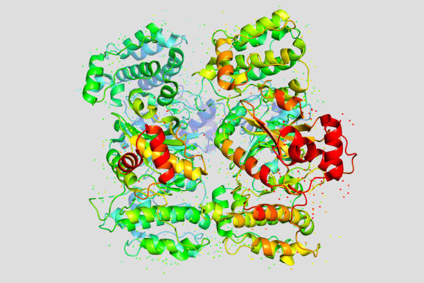 istock The structure of the protein molecule, tumor marker glioblastoma. 1252877582