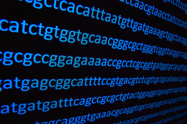Genome sequencing. Genome sequencing. The sequence of nucleotide bases in a DNA molecule. human genome map stock pictures, royalty-free photos & images