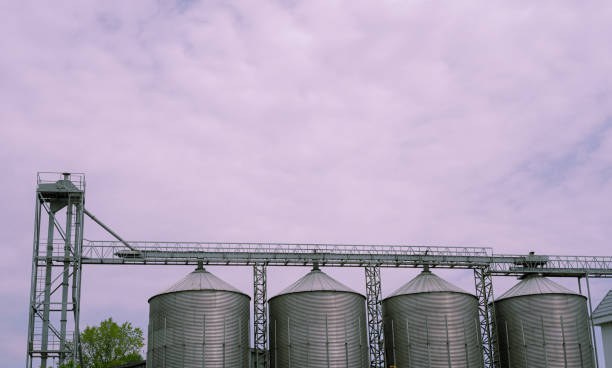 istock Plant with containers for making drinks, against the sky 1252877836