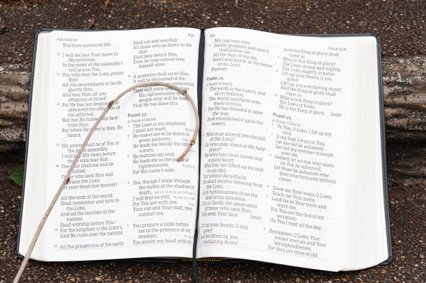 istock Holy Bible open with small staff on top. Highlighting Psalm 23. Outdoors on stair step. Horizontal shot 1252880761