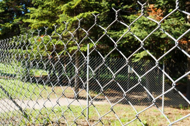 istock metal mesh fence in the park 1252880798