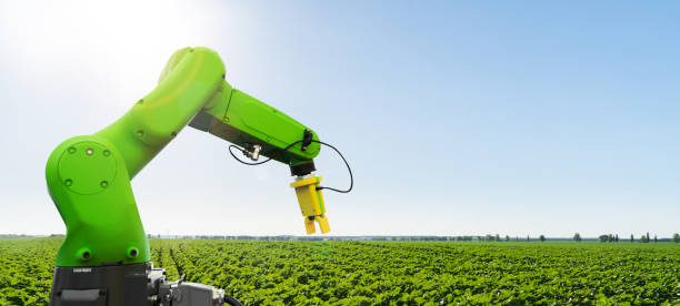 istock Robot is working on agricultural field 1252881100