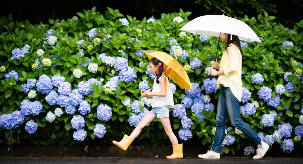 mãe e filha caminhando juntas na estrada das hortênsias - rainy season - fotografias e filmes do acervo