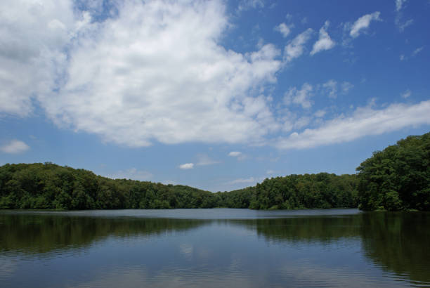 Tywappity Lake in Summer
