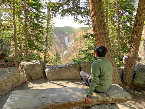 Man sitting on wooden bench looking at waterfalls viewpoint and rock hill view through trees frame at a vivid Grand Canyon of the Yellowstone and Yellowstone river seen from Artist Point. Yellowstone National Park, Wyoming, USA