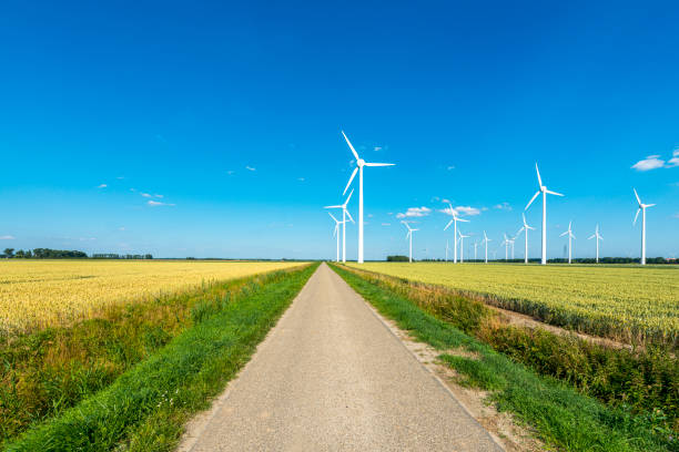 Wind Turbines in a wheat Field, empty road in the middle