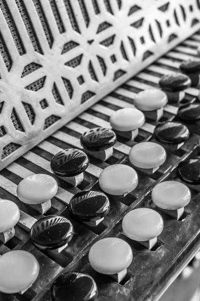 istock Black and white buttons on button accordion close-up 1252894382