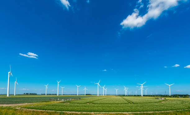Wind turbines, renewable energy on a green field, spring day. Wind farm in the Netherlands.