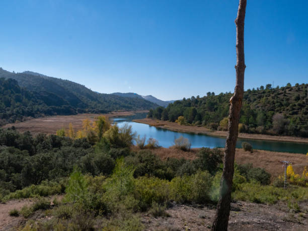 istock Reservoir landscape on a sunny day 1252897647