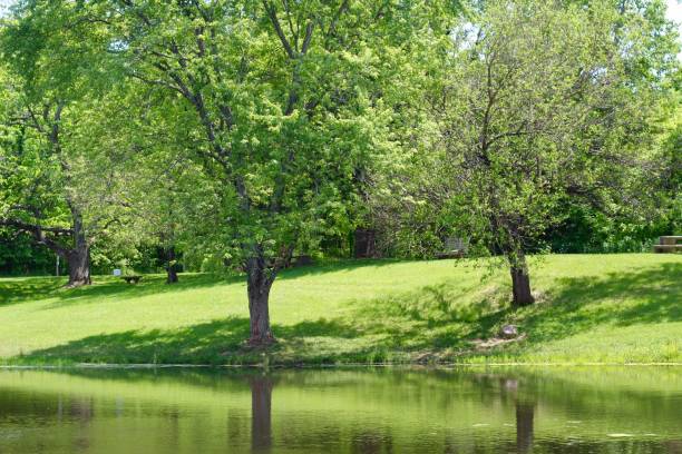 istock Lake and Hillside Landscape 1252900684