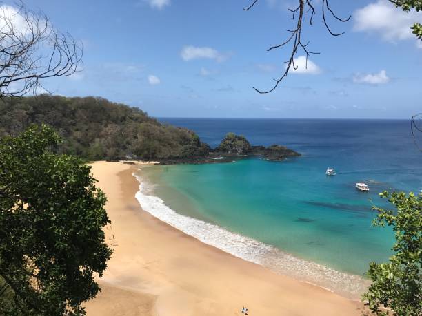 istock Fernando de Noronha - Brazil 1252901962