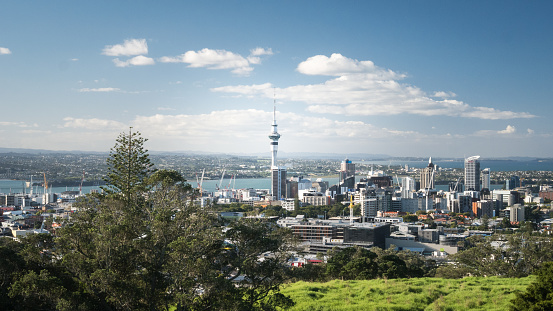 Photo of Auckland sky tower and Pohutukawa flowers in foreground