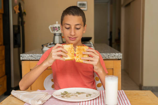istock Boy about to eat melted cheese sandwich 1252907195