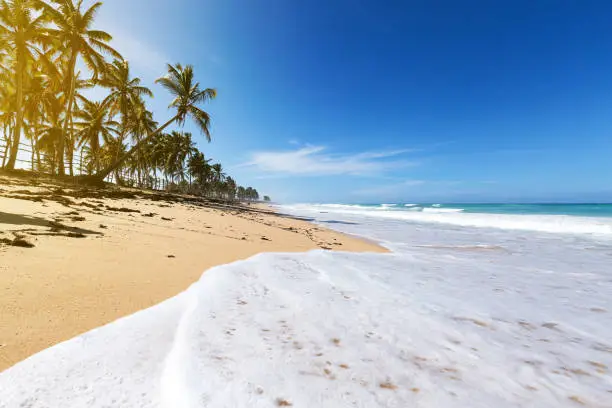 Wild caribbean beach of Atlantic ocean with waves, travel destinations