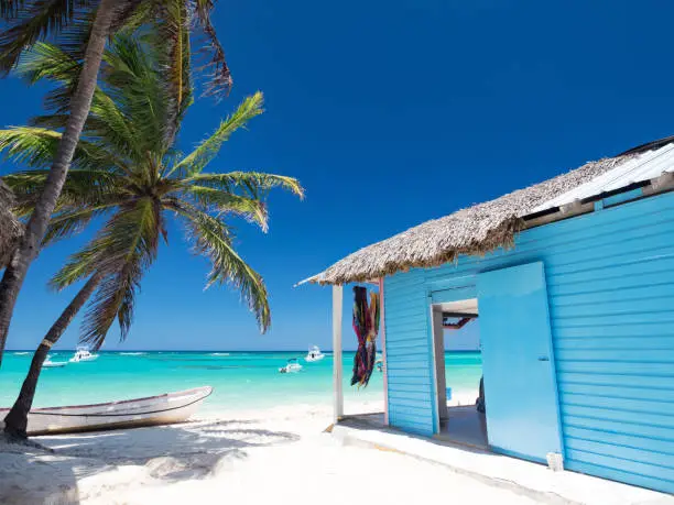 Typical caribbean house near Atlantic ocean beach with coconut palm tree. Blue and red exterior of tropical wooden hut