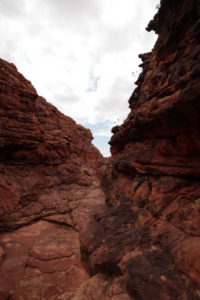 krajobraz królów kanion w outback, czerwone centrum australii - alice springs australian culture desert kings canyon zdjęcia i obrazy z banku zdjęć