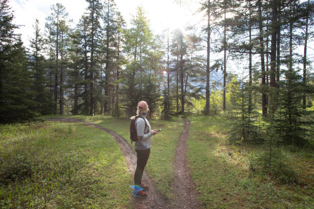 istock Female hiker stops on forked forested trail and looks for direction 1252910435