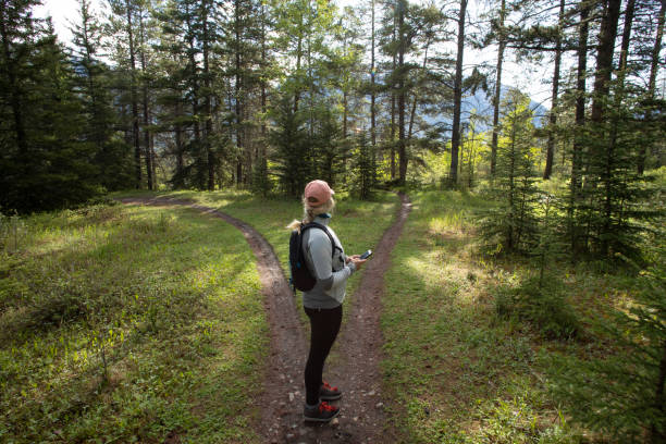 Female hiker stops on forked forested trail and looks for direction Sun shines through forest and over Canadian Rocky Mountains in distance as she looks for directions on cell phone forked road photos stock pictures, royalty-free photos & images
