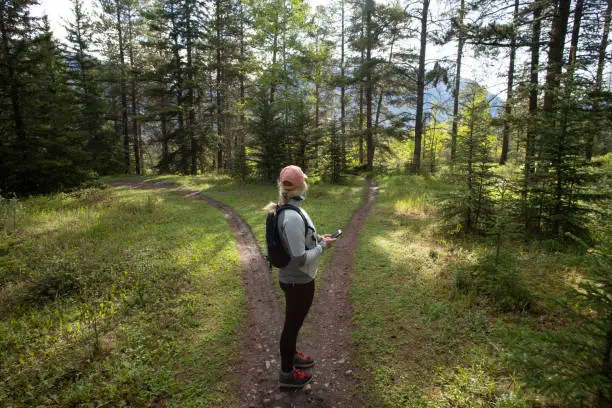 Photo of Female hiker stops on forked forested trail and looks for direction