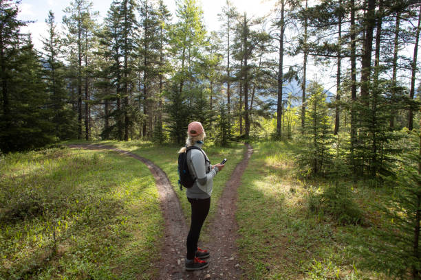 istock Female hiker stops on forked forested trail and looks for direction 1252911142