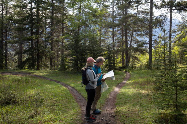 Sun shines through forest and over Canadian Rocky Mountains in distance as they look for directions on cell phone and map