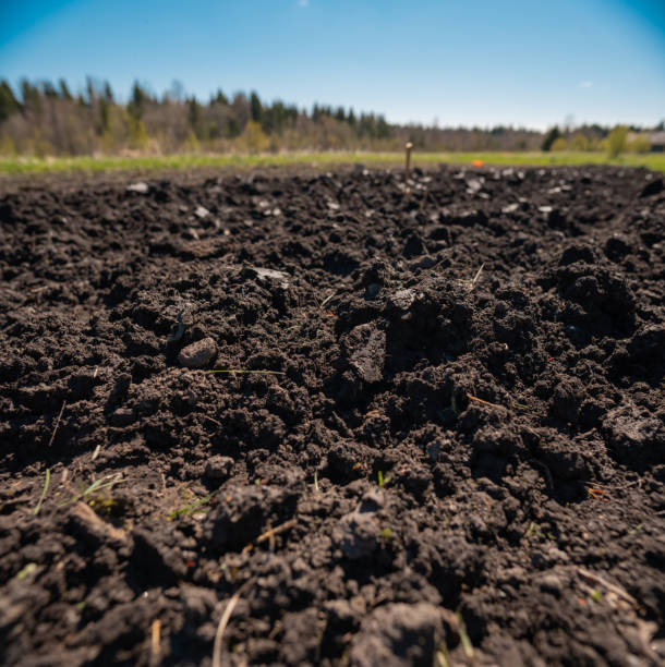 ploughed soil in the garden
