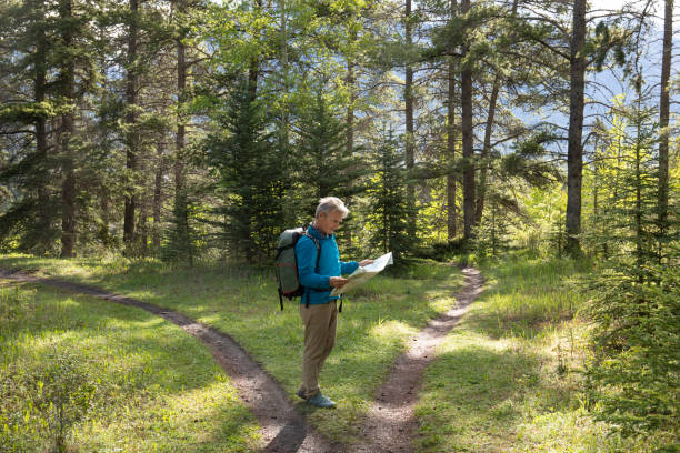 hiker stops at forked forested trail and looks to map for direction - forked road imagens e fotografias de stock