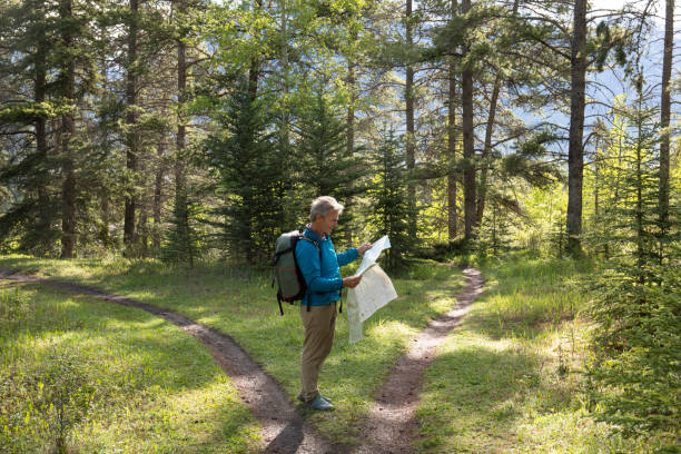 istock Hiker stops at forked forested trail and looks to map for direction 1252916825