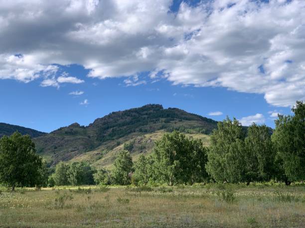 istock Panoramic view. Beautiful summer landscape. Mountains, blue sky and green fields, forestA group of clouds in the sky 1252917153
